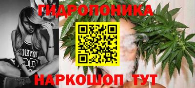метадон Будённовск