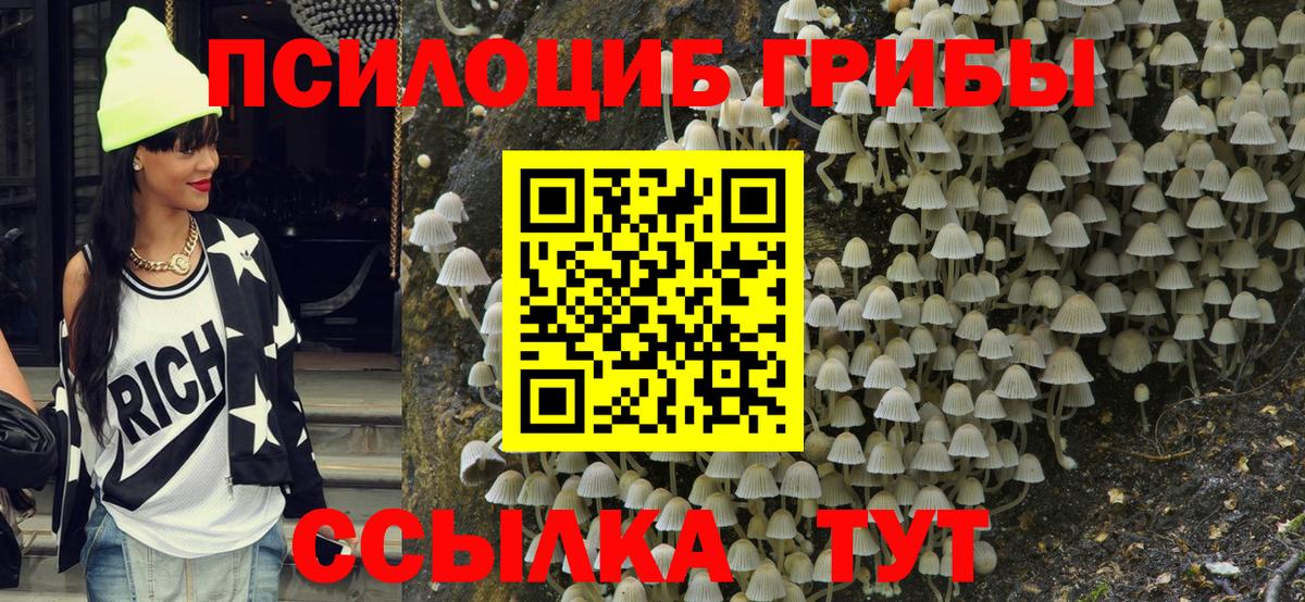 Галлюциногенные грибы Psilocybe  Псилоцибиновые грибы MAGIC MUSHROOMS  где можно купить наркотик  Благодарный  Вход с VPN 