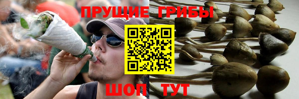 Псилоцибиновые грибы ЛСД Благодарный